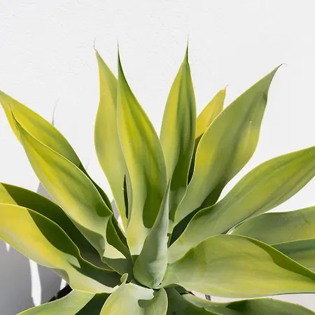 Marejada 30 Apartamento San José